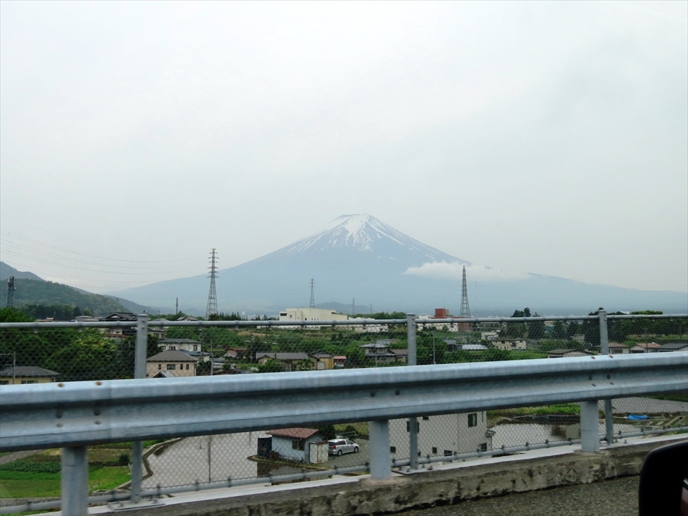 IMG_3521_R