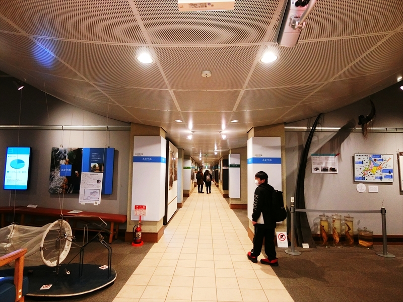 CIMG8308_R