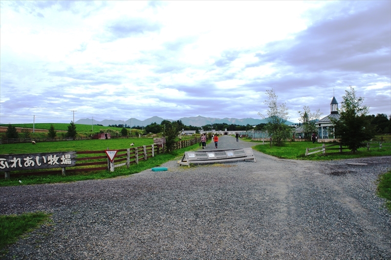 DSC00536_R
