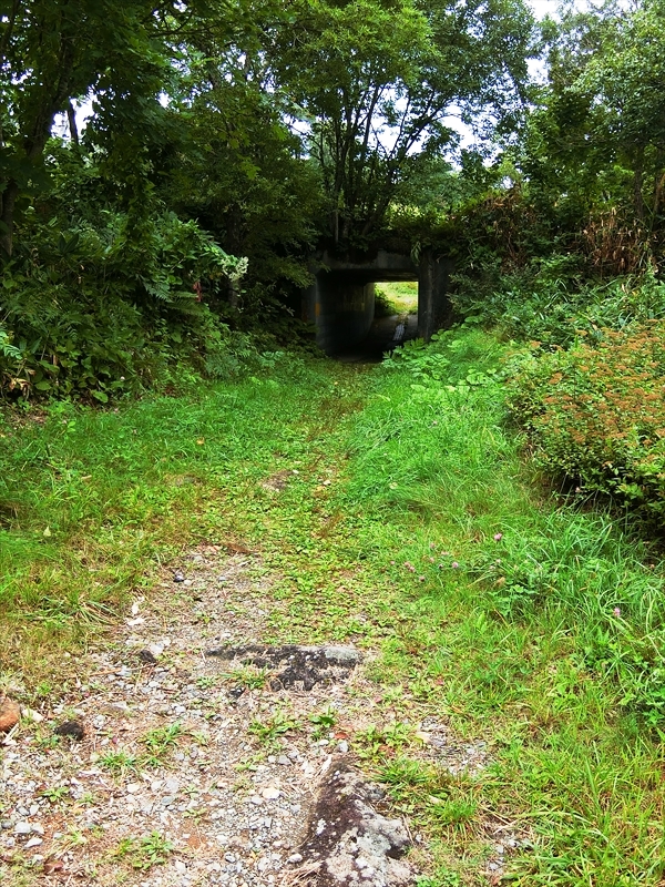 CIMG3243_R