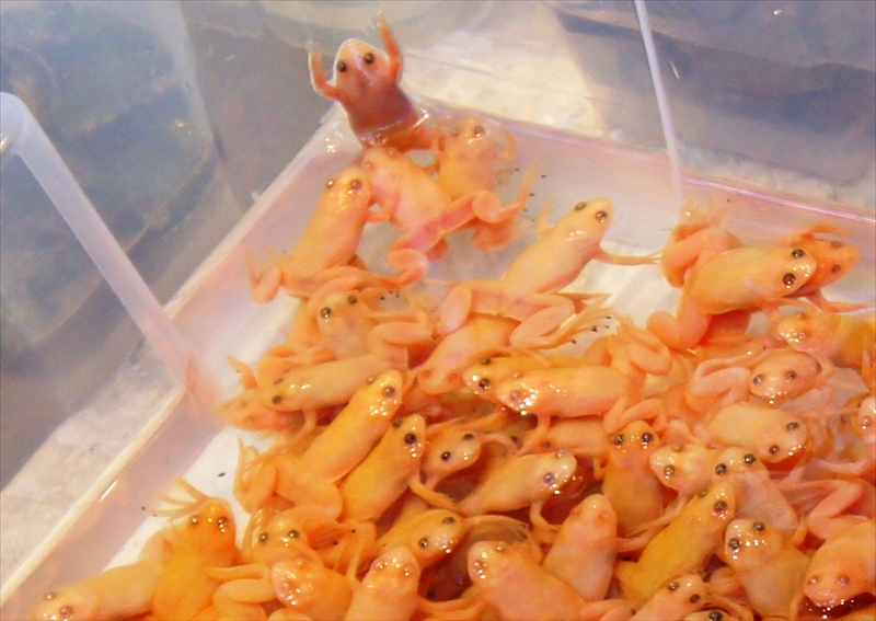 DSC00841_R