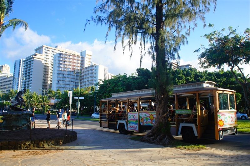 DSC00337_R
