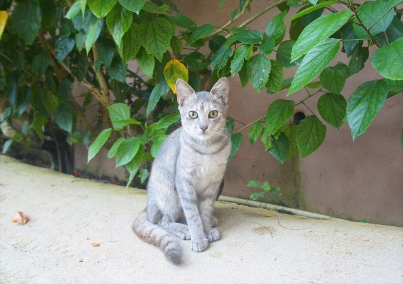 DSC00767_R