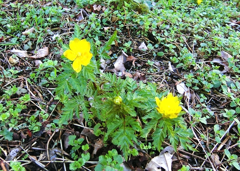 CIMG6107_R