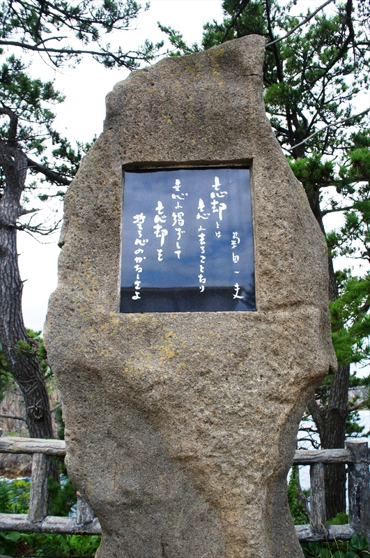 DSC05729_R