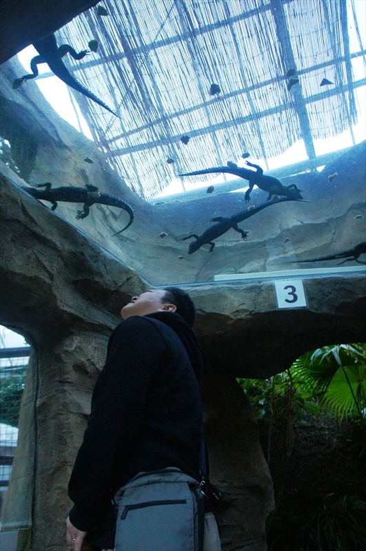 DSC00230_R