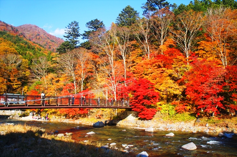 DSC01848_R
