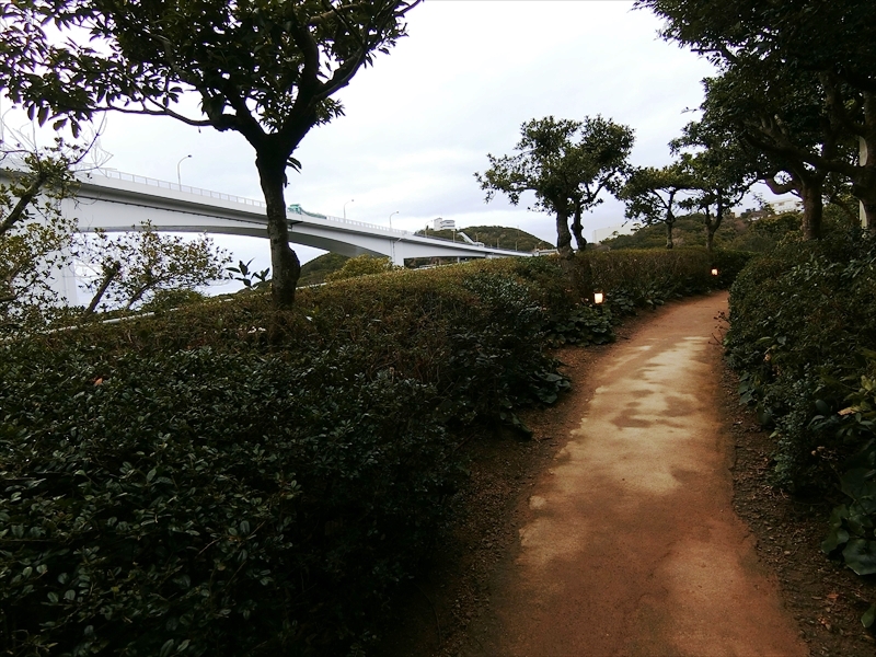 CIMG3775_R