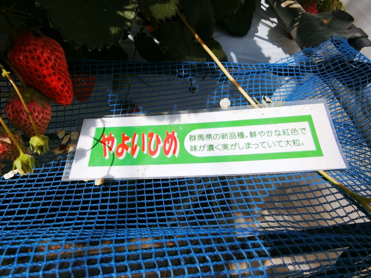 CIMG4559_R