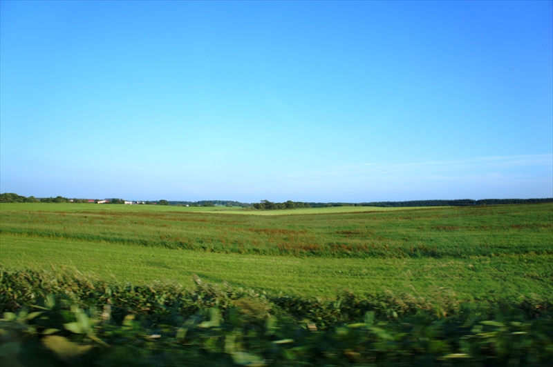 DSC01296_R