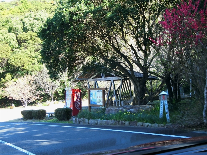 CIMG6422_R
