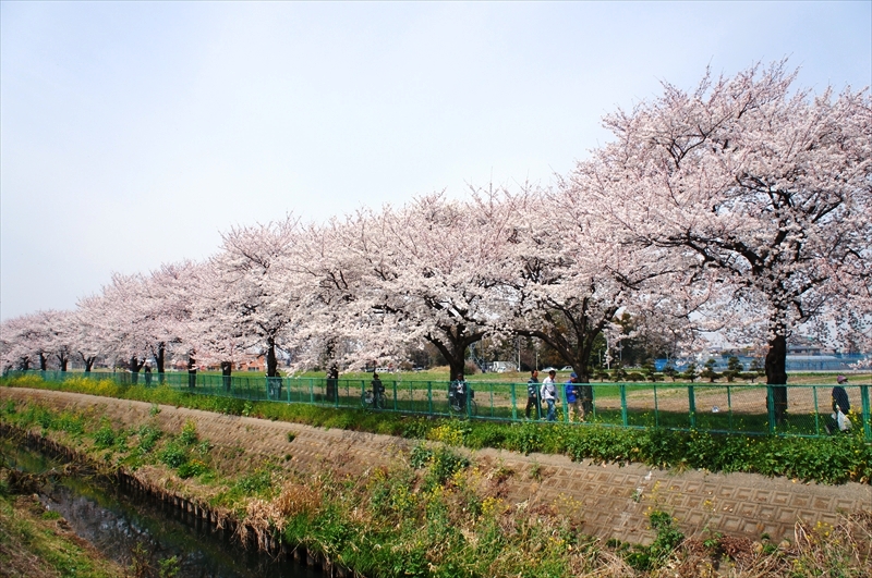 DSC03860_R