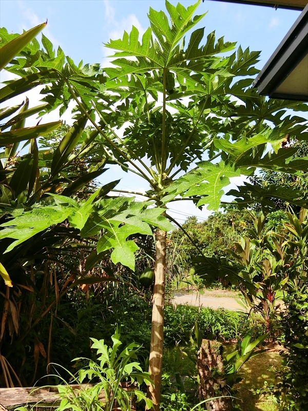CIMG5494_R