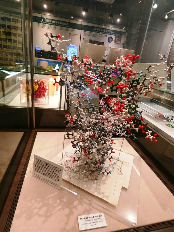 CIMG8298_R