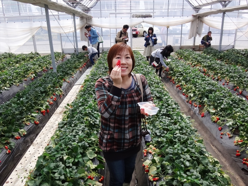 DSC00325_R