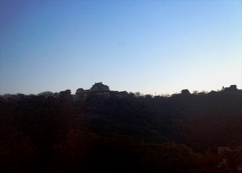 DSC00877_R