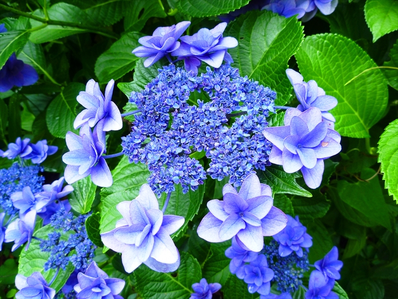 P1060376_R
