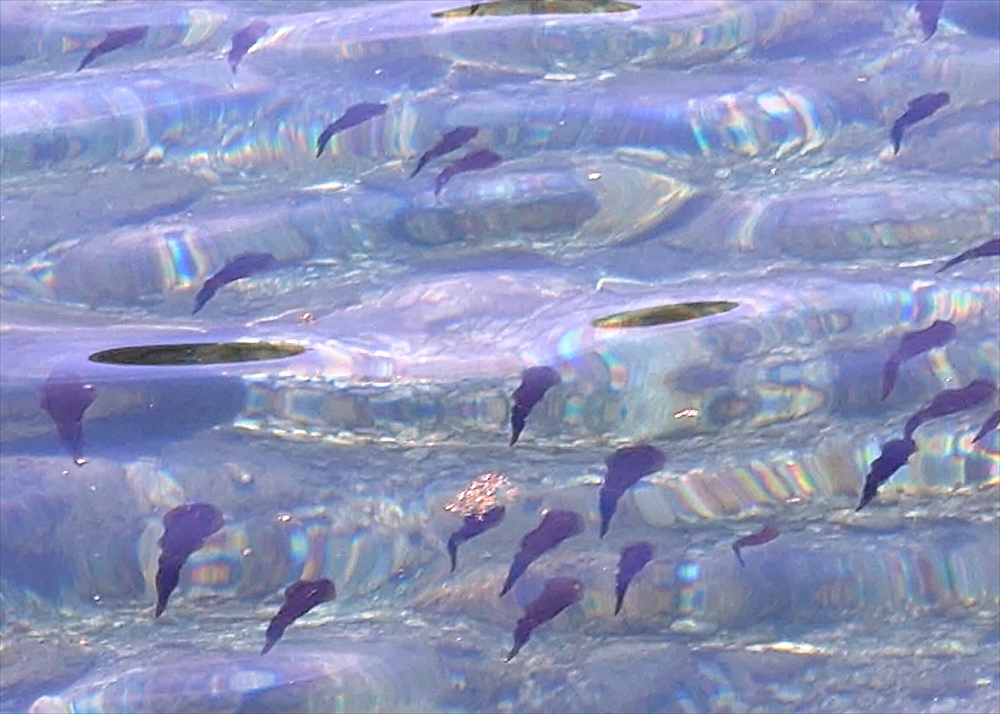20250802_104003_R
