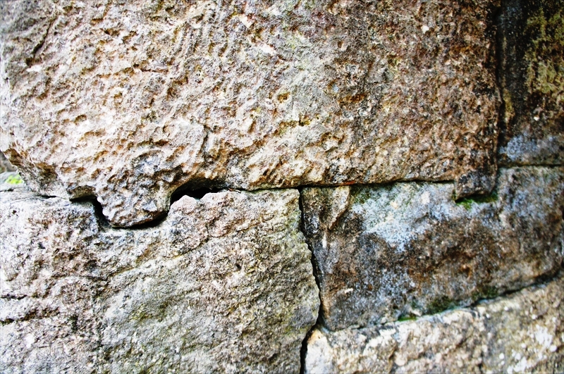 DSC02990_R