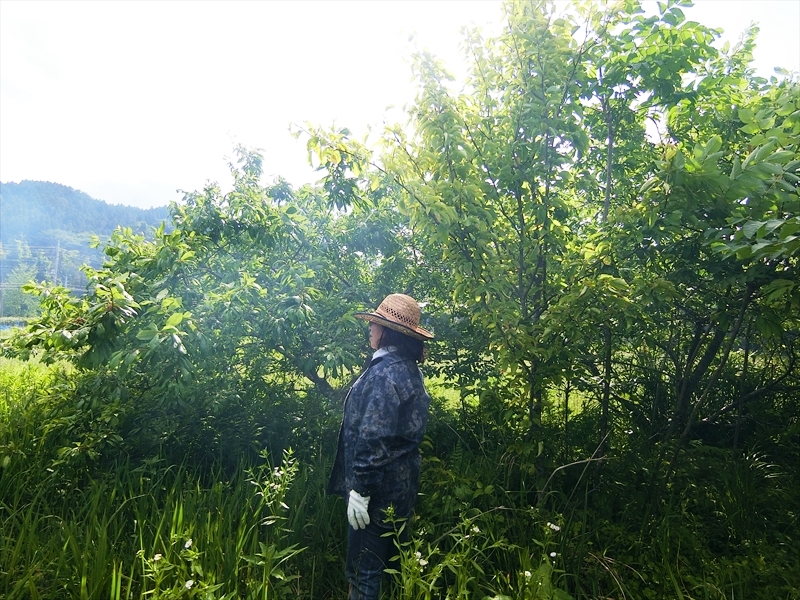 CIMG5767_R