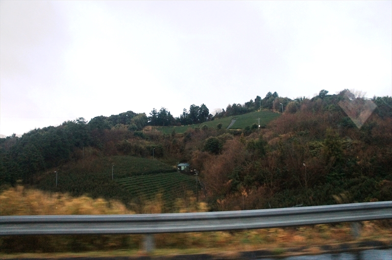 DSC00024_R