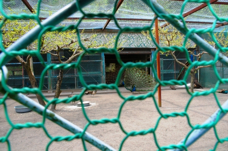 DSC01567_R