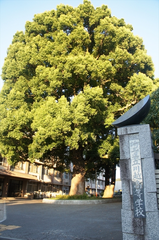 DSC00085_R