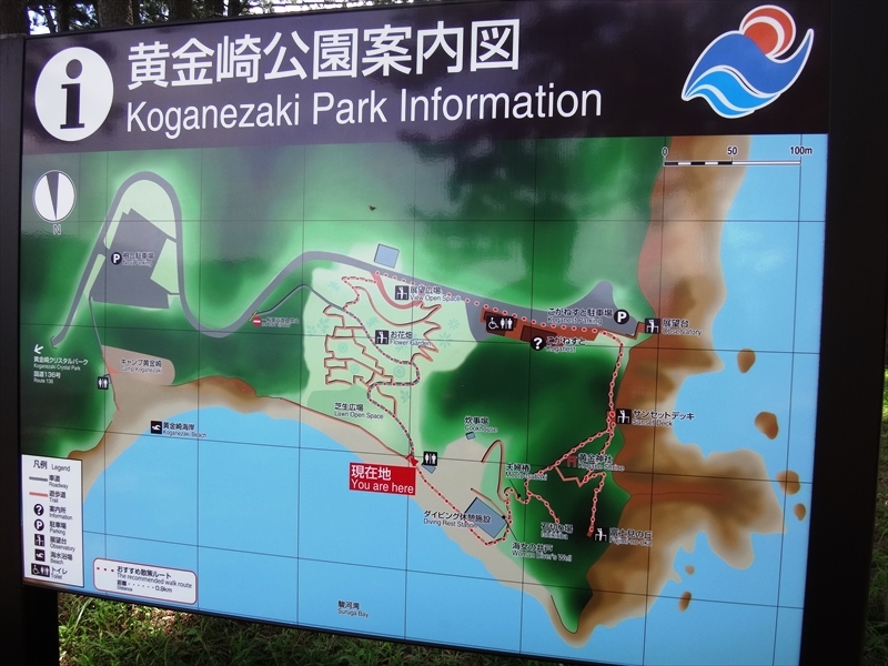 DSC04263_R