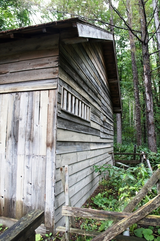 DSC00887_R