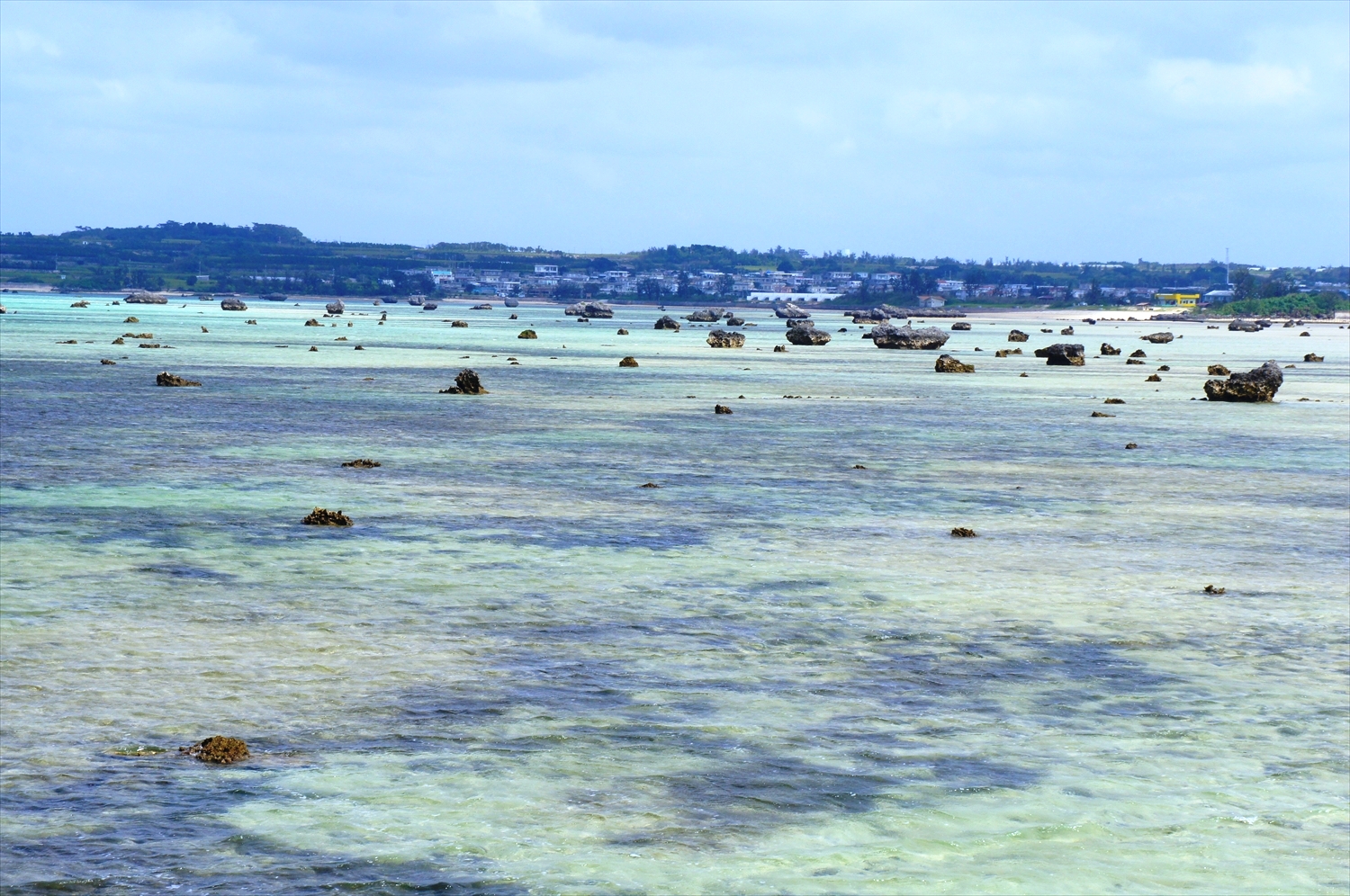 DSC00416_R