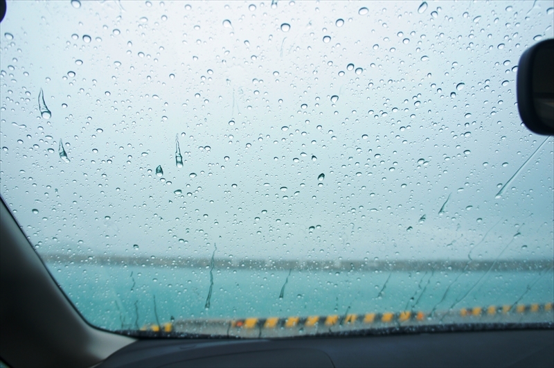 DSC00192_R