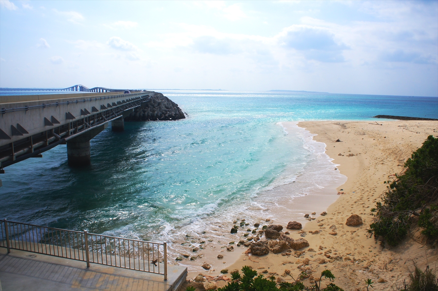 DSC00317_R