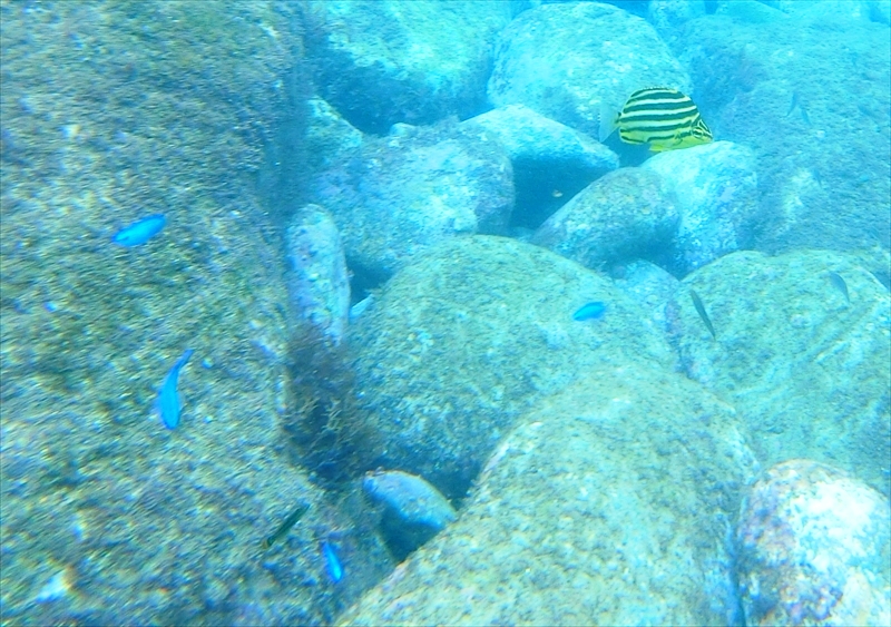 CIMG0471_R