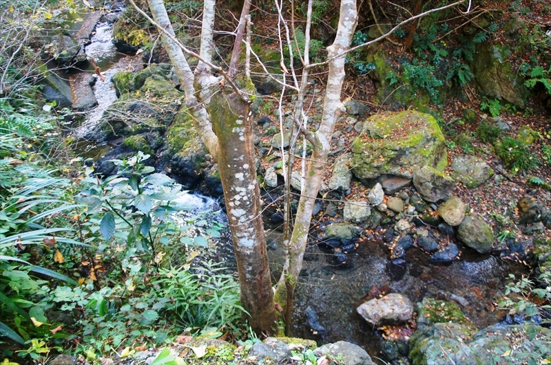 DSC01546_R