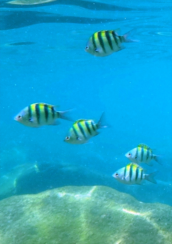 DSC0003_R