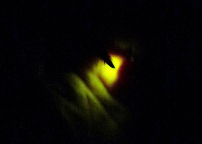 CIMG3200_R