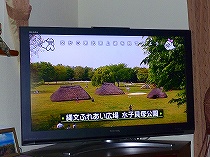 貝塚公園