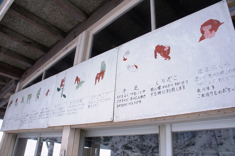 DSC01996_R