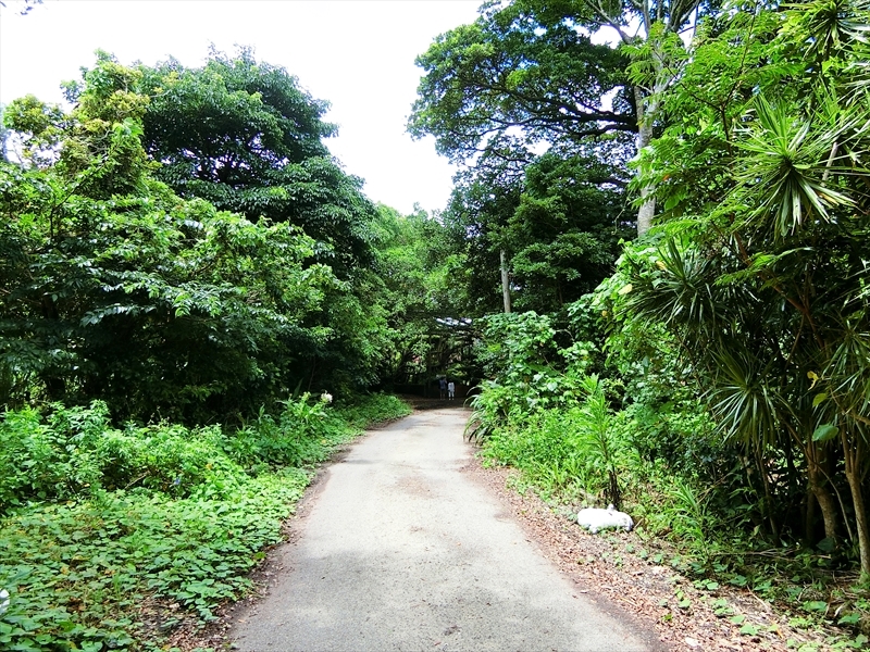 CIMG4006_R