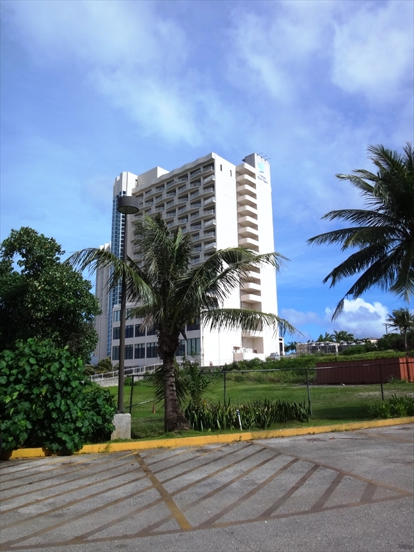 DSC08618_R