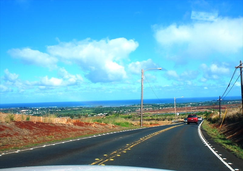 DSC08180_R