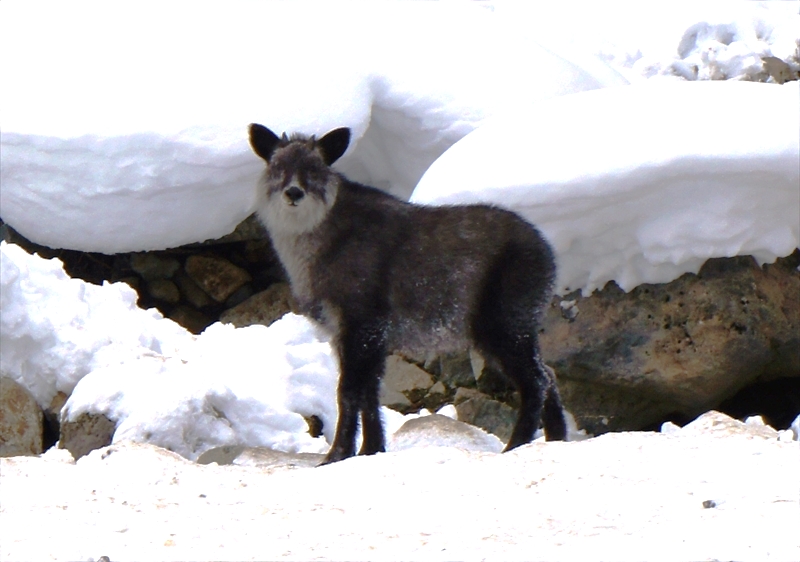 DSC02121_R