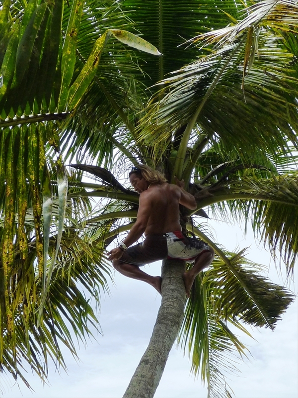 P1000468_R
