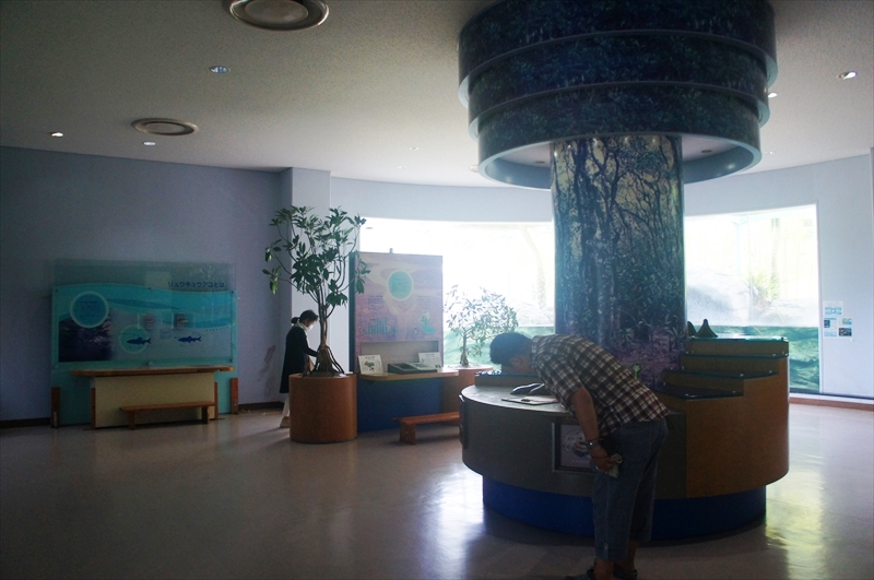 DSC00272_R