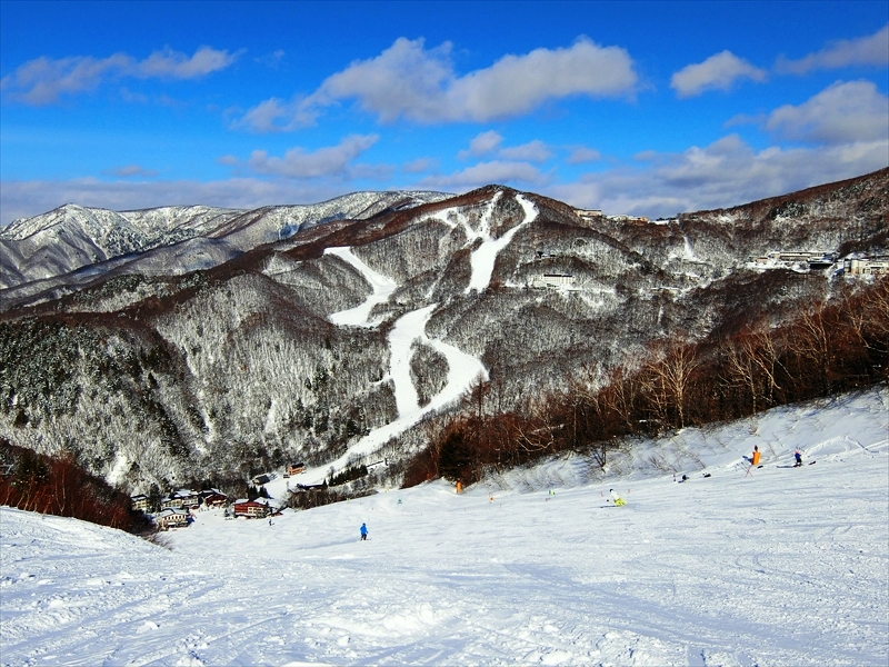 CIMG2014_R