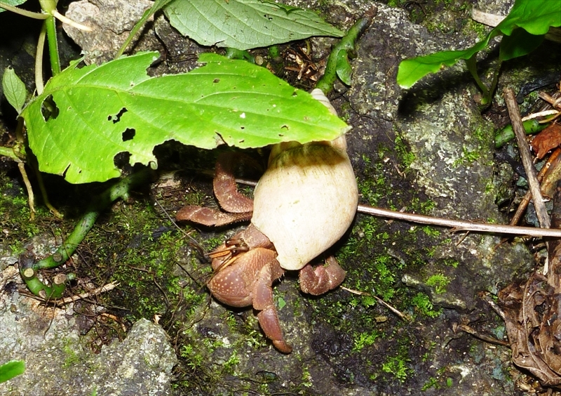 P10003460_R