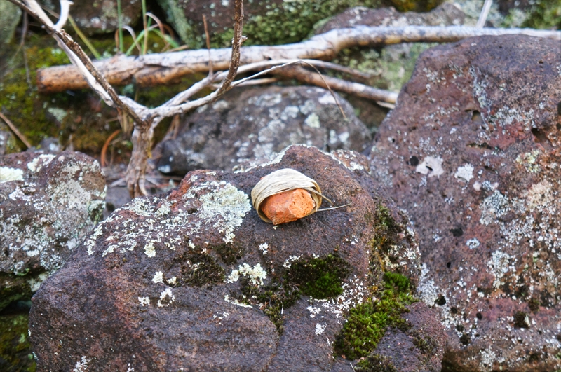DSC08365_R