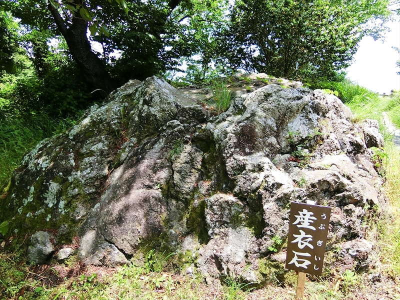 CIMG3222_R