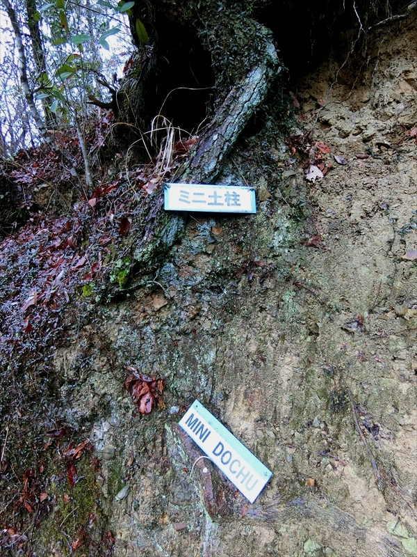 CIMG4337_R