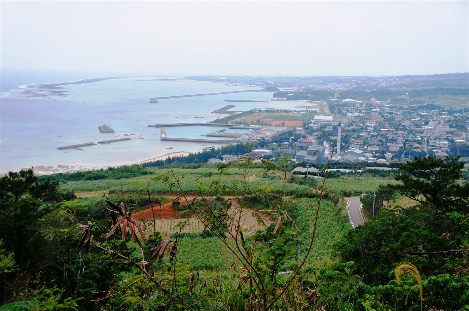 DSC03159_R